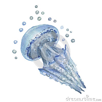 Jellyfish starfish corals shells beach watercolor illustration hand Cartoon Illustration